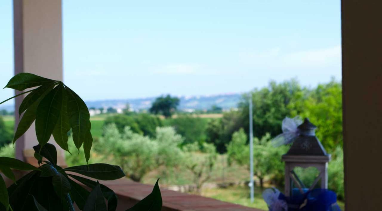 B&B Armonia Montecosaro  Exterior photo